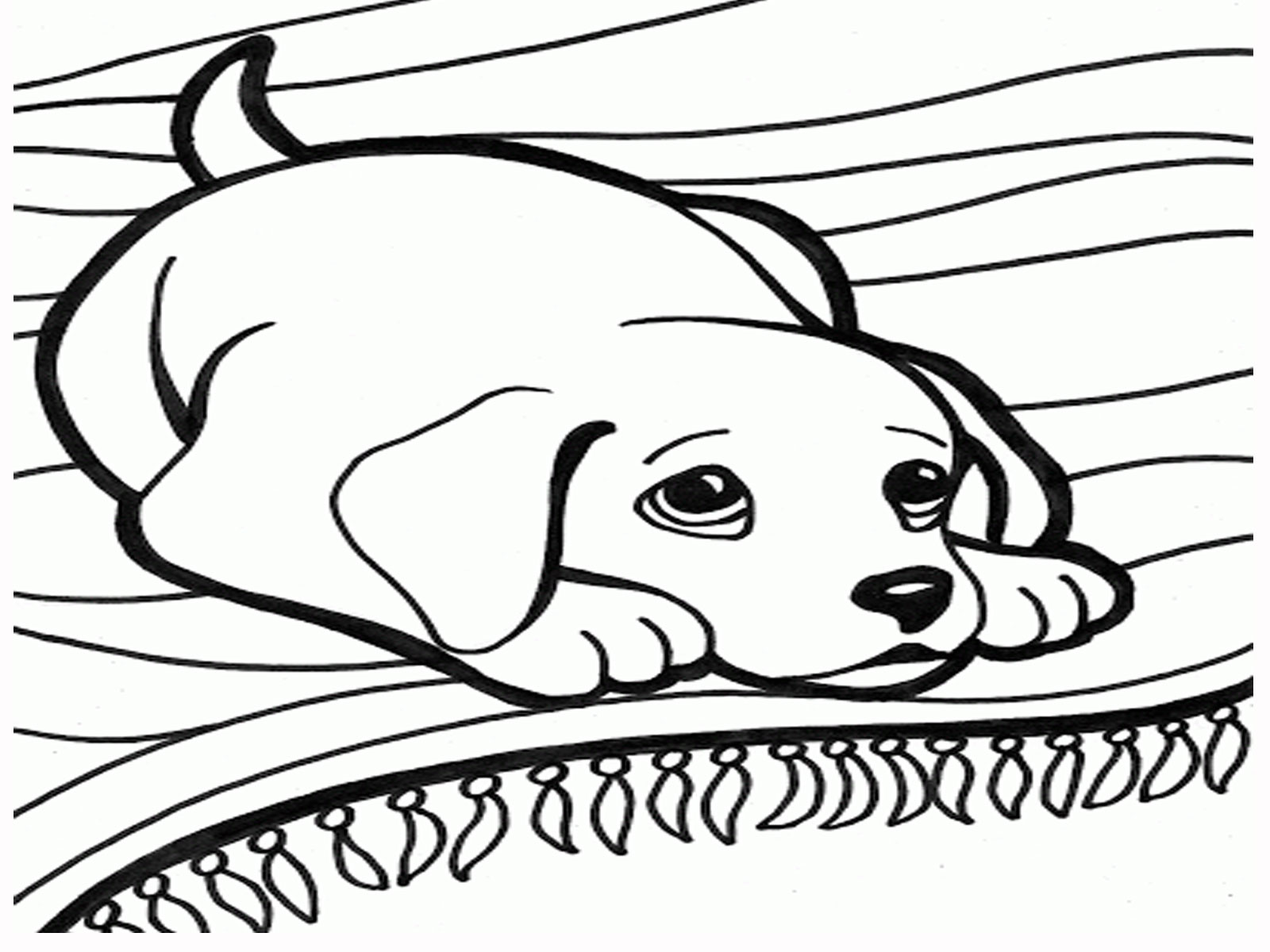 dog pictures coloring sheets